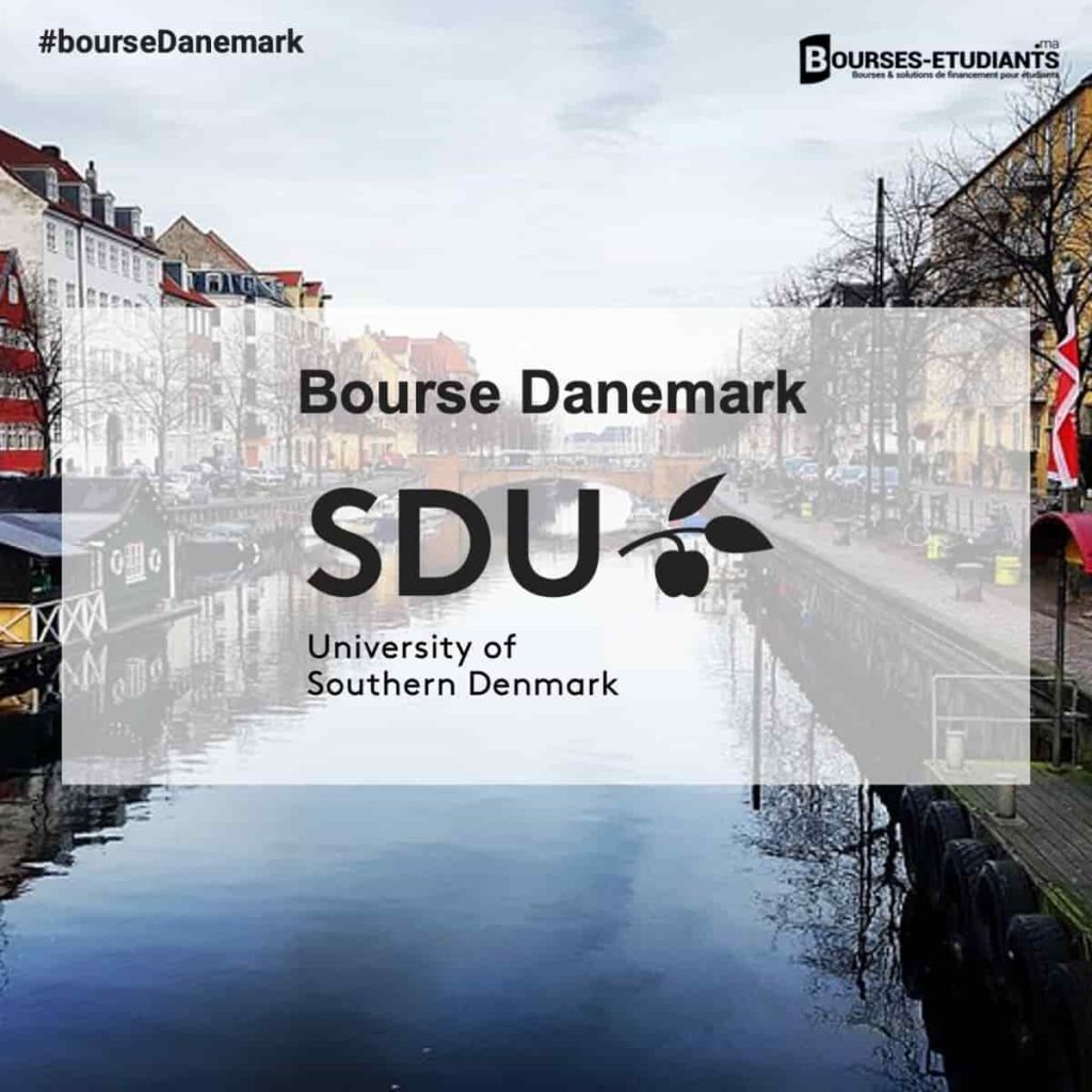 Bourse Danemark University of Southern Danemark